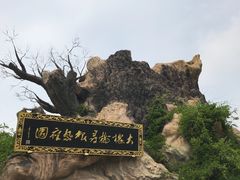 -大槐树寻根祭祖园