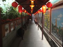 -窄巷子陕菜馆·地道陕西菜(粉巷店)