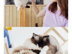 -Catmate·猫肥家润(金润铂宫店)