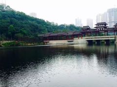 -重庆彩云湖湿地公园
