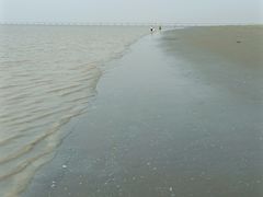 -南汇嘴观海公园