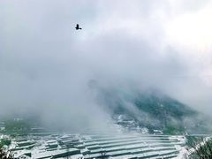 -四明山国家森林公园