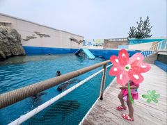 -秦皇岛乐岛海洋王国