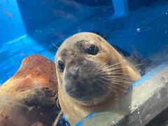 -梦幻海洋王国(吾悦广场张家港店)