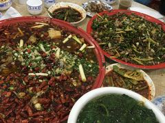 -东吴霸王兔(松青路店)