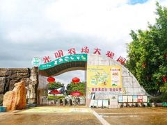 -光明农场大观园