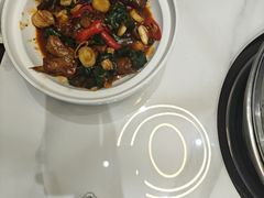 -大锅强·蒸海鲜青岛菜(吾悦广场店)