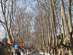 -T80科技文化国际社区-停车场