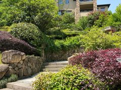 -浙江安吉JW万豪酒店·万豪中餐厅