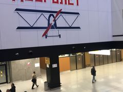 -谢列梅捷沃国际机场