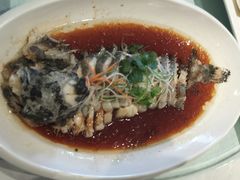 android_upload_pic-久宴·天目湖大鱼头(恐龙园店)
