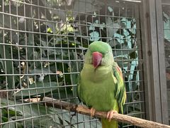 -大连森林动物园