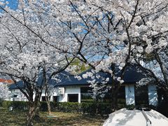 -新虹桥中心花园