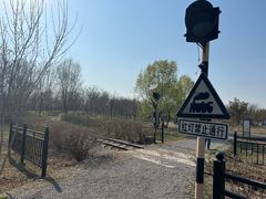 -西青郊野公园