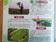 -润记农家菜