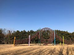 -东方绿舟景区