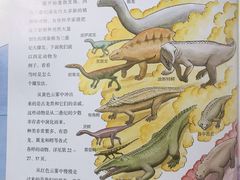 -静安区少年儿童图书馆(康定东路)