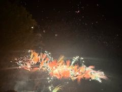 -花博汇(知音花月夜)