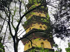 -阿育王寺