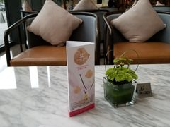 -福州泰禾铂尔曼酒店·大堂酒廊