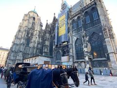 -斯蒂芬主教座堂(Stephansdom)