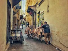 -穆莱拉赫制革厂