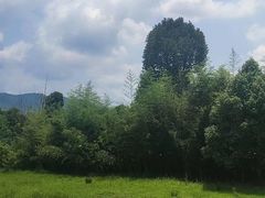 -黟县屏山村
