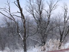 -长白山万达国际滑雪场