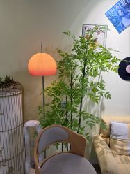 -变美丽半永久纹眉连锁·机器野生眉•洗眉