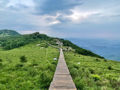 -白草畔自然风景区