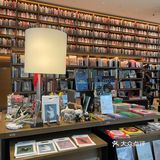 ❗️网红天目里不用人挤人了👀