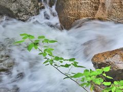 -洛阳白云山景区