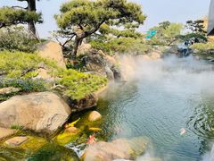 -罗红摄影艺术馆