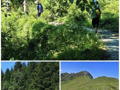 -灵山