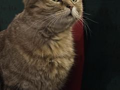 -新月集庭院咖啡馆(老邮局店)