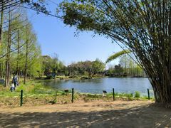 -金银湖国家城市湿地公园