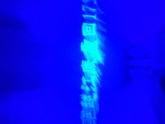 -白鹤梁水下博物馆