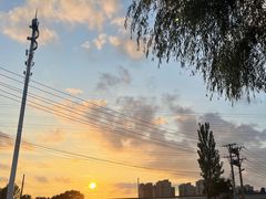 -丁香湖公园