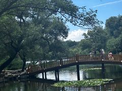 -承德避暑山庄景区