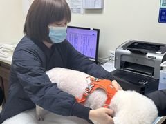 -美联众合动物医院·24h转诊中心