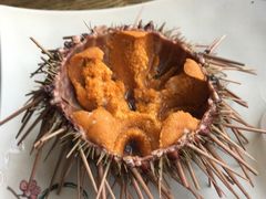 -潮庭·大连海鲜·炭火烧烤·扇贝王(大连店)