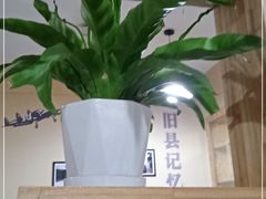 -彭大姐老店黄辣丁(新津店)