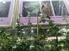 -上海昆虫博物馆