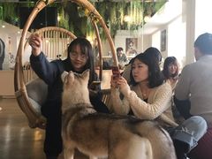 -Husky Go! 哈士奇体验馆·宠物咖啡厅狗咖