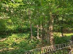 -长春净月潭风景名胜区