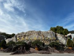 -北京西山国家森林公园