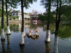 -东莞市可园博物馆