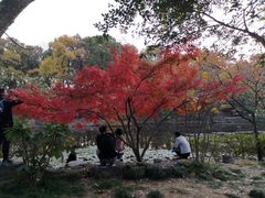 -灵谷景区