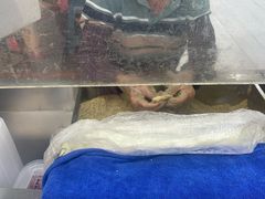 -叶氏麻糍(鼓浪屿店)