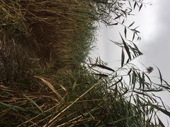 -鴜鹭湖生态旅游度假区